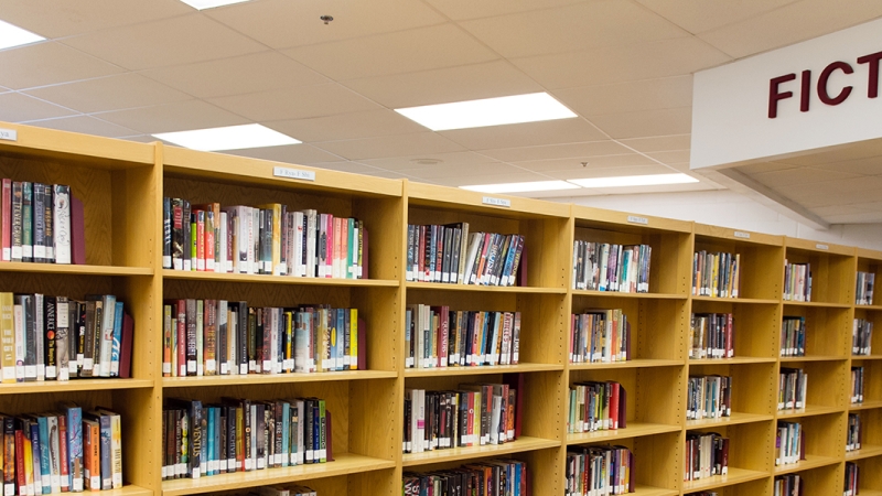 photo of school library bookshelves