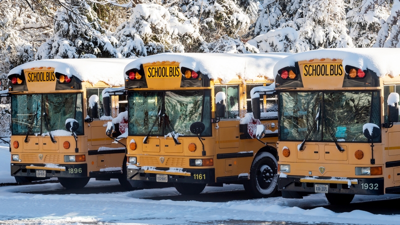 School buses covered in snow.