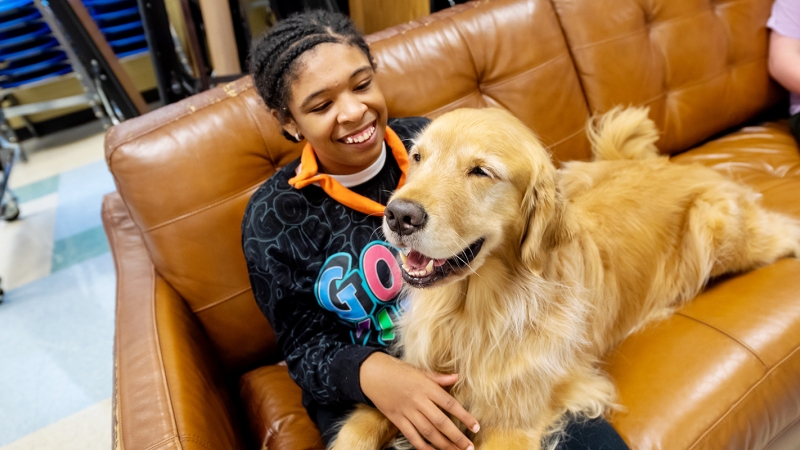 Micah the therapy dog comforts a student. 