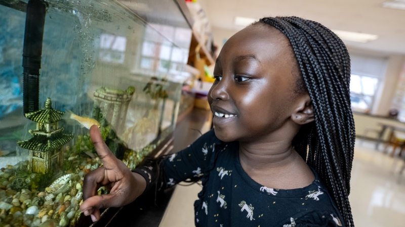 A student looks inside an aquarium at Bailey’s Elementary School’s science lab.