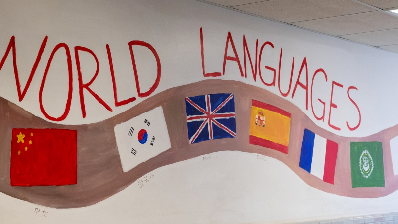 wall mural of world languages with flags