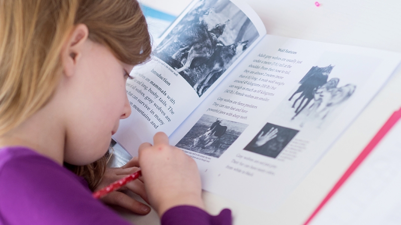 Female student reading a book