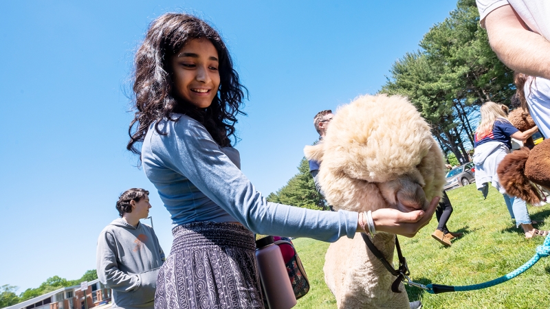 A student feeds an alpaca at Woodson HS. 