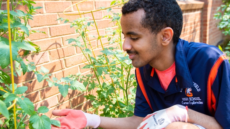 A student tends to a plant in the courtyard.