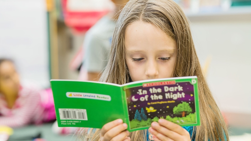 young student reading a book