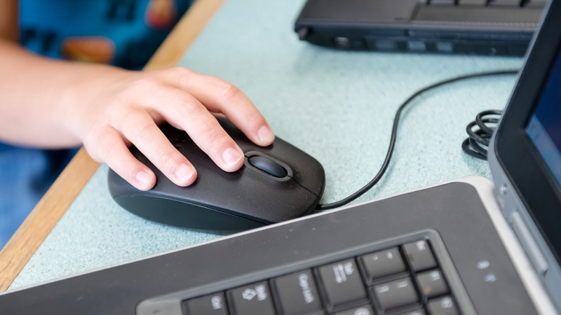 Person using a Laptop and Mouse