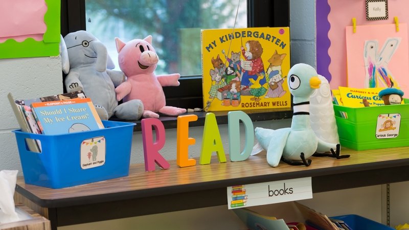 classroom library