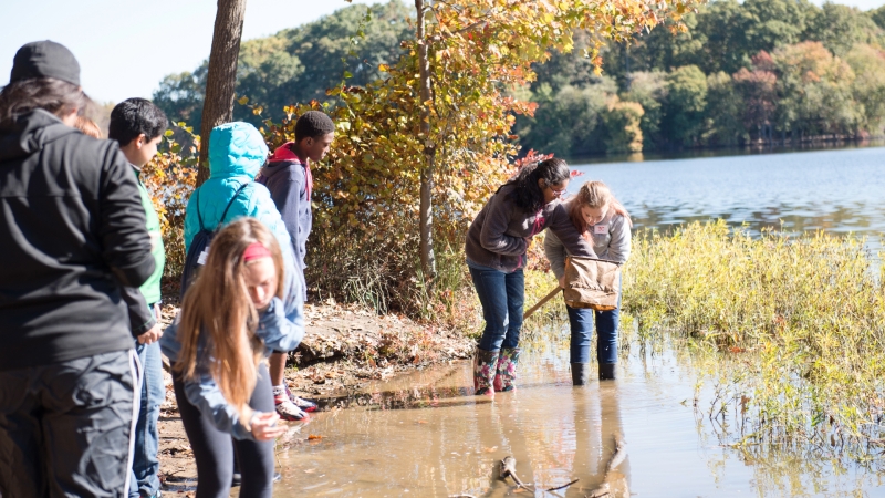 students inspecting the environment at Burke Lake Park