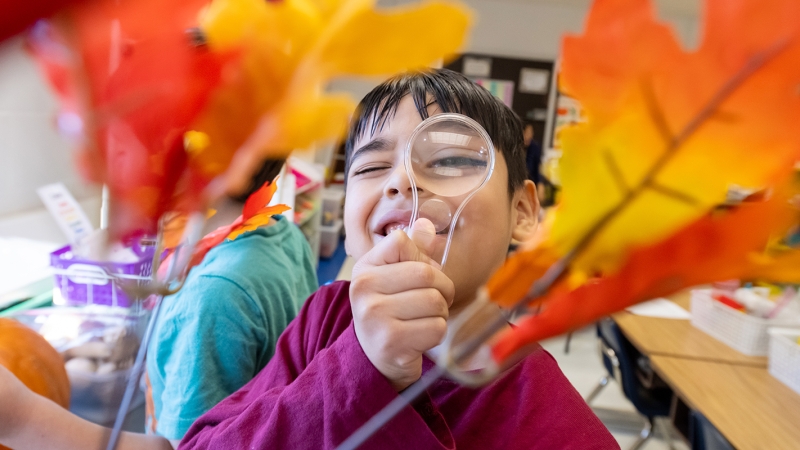 A child looks at leaves through a magnifying glass