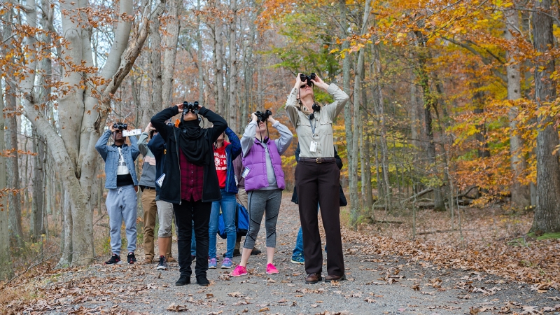 group of students on a nature walk