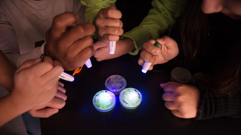 light shining on bacteria samples in petri dishes