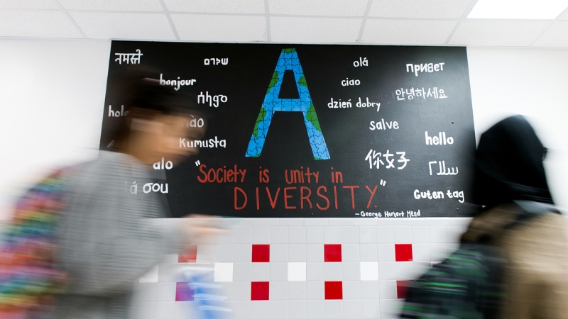 mural in hallway at Annandale High School