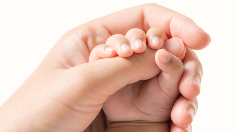 baby hand within an adult hand