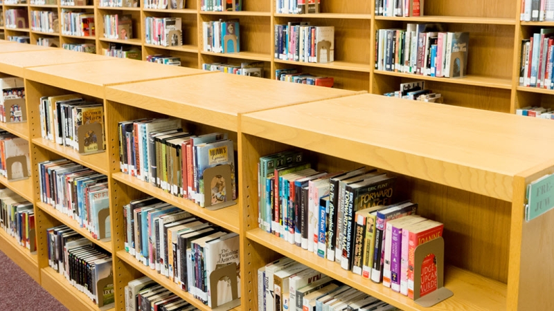 row of books in library