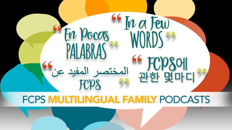 image showing text in English, Spanish, Arabic and Korean - In a Few Words