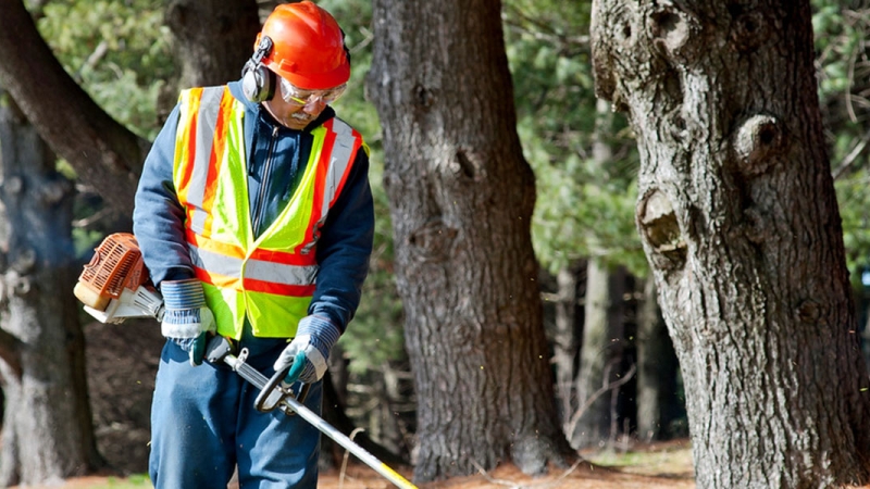 an employee at work