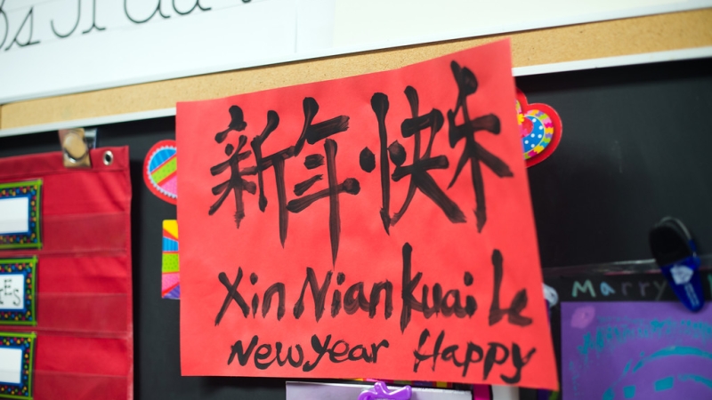Chinese new year sign