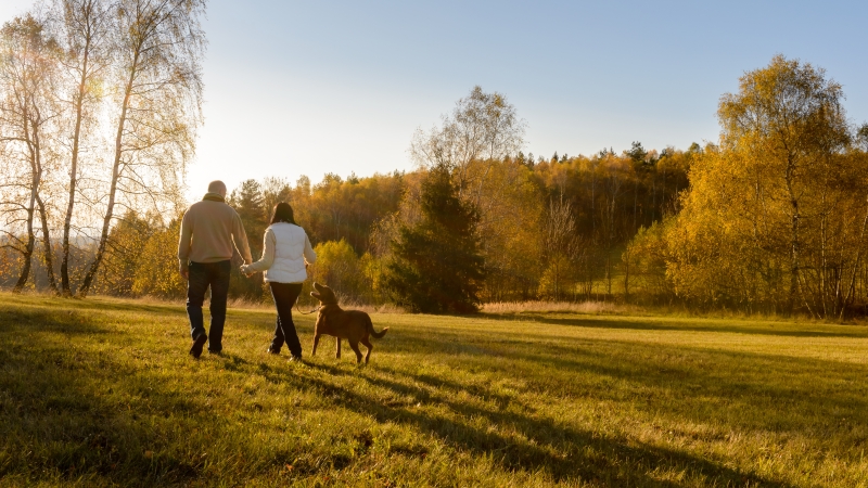 older couple walking dog in the field