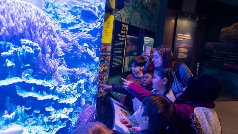 Vivi and her students look at a fish tank