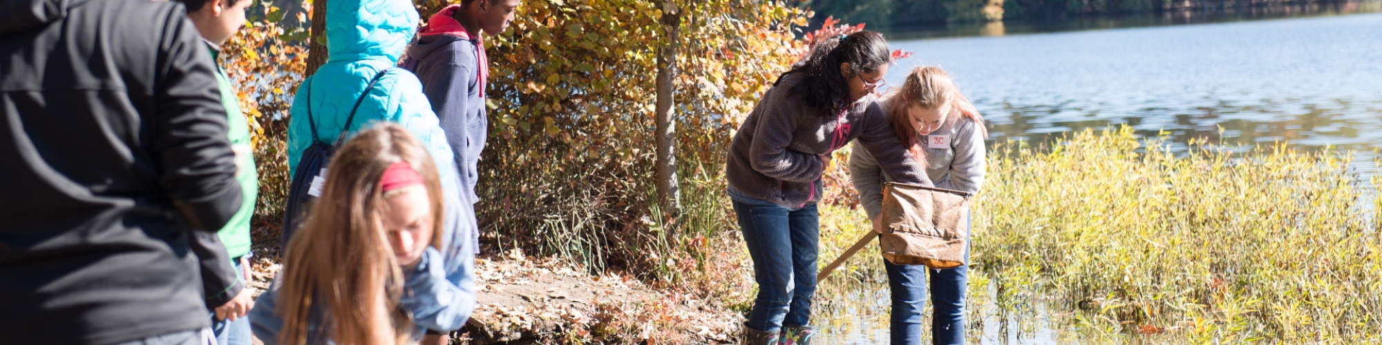 students inspecting the environment at Burke Lake Park