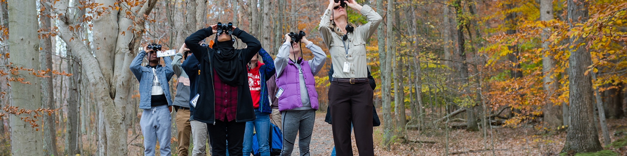 group of students on a nature walk