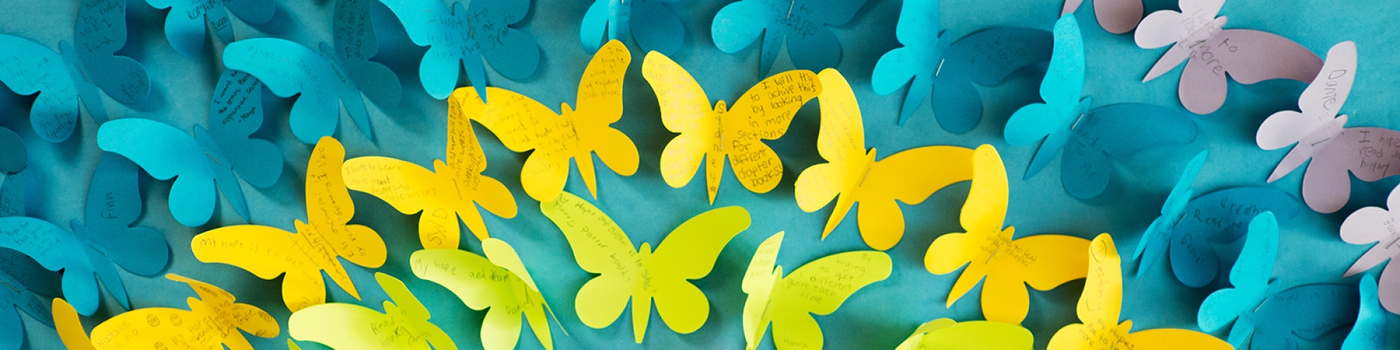 Paper butterflies of different colors.