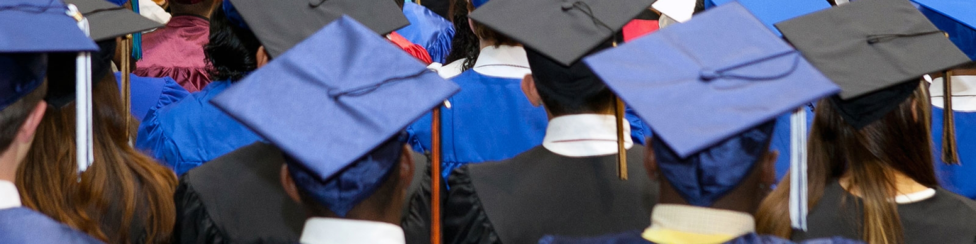 Photo of students in graduation caps and gowns